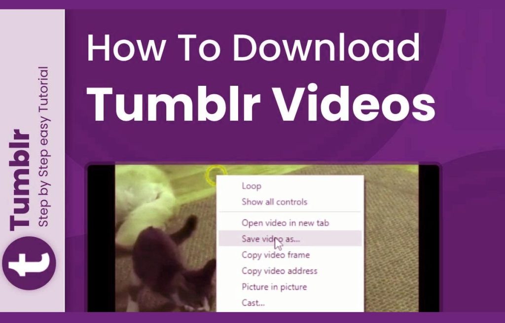How Does a Tumblr Video Downloader Work